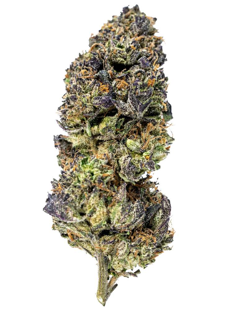 Black Runtz Indoor THCa Flower jar